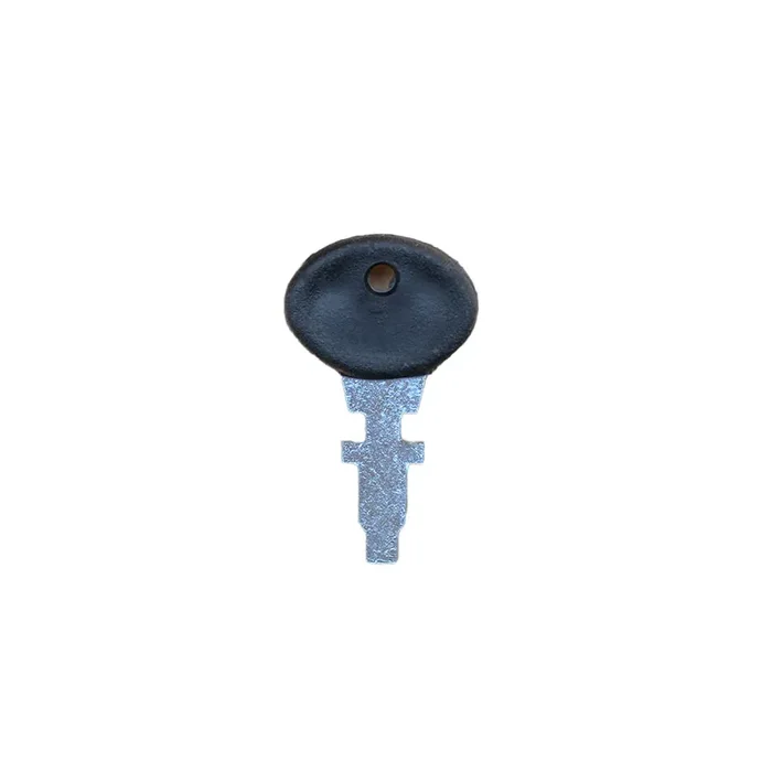 Ignition Switch Key(s) Fits Ford/New Holland Replaces 09918786