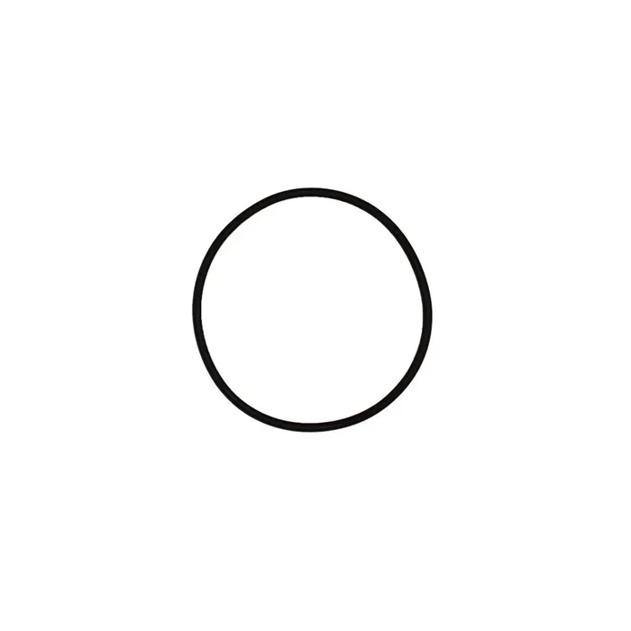 One O-Rings Fits Case IH Fits New Holland 238-6121