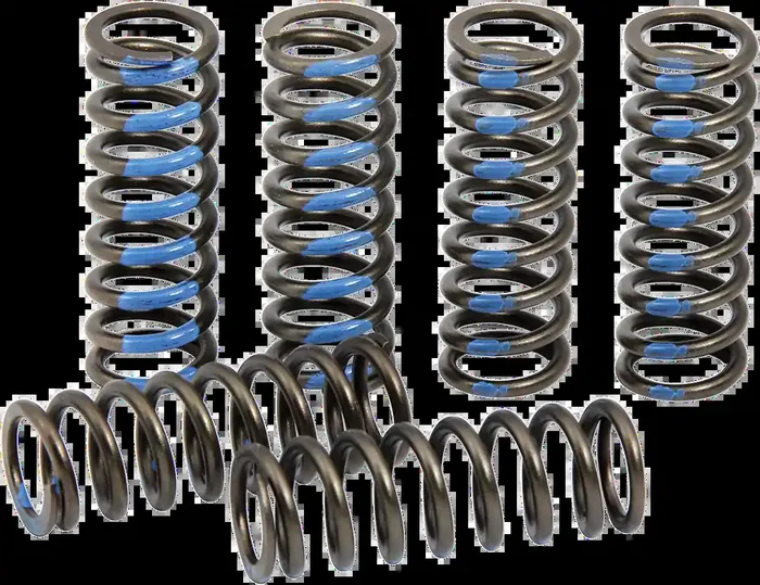 PRO CIRCUIT Clutch Springs CSY19250-CS