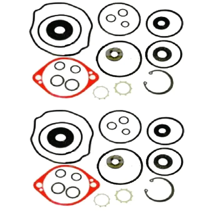 Pump Overhaul Kit Seals Gaskets 2 Pack for Hydro Gear 70525 BDP-10A
